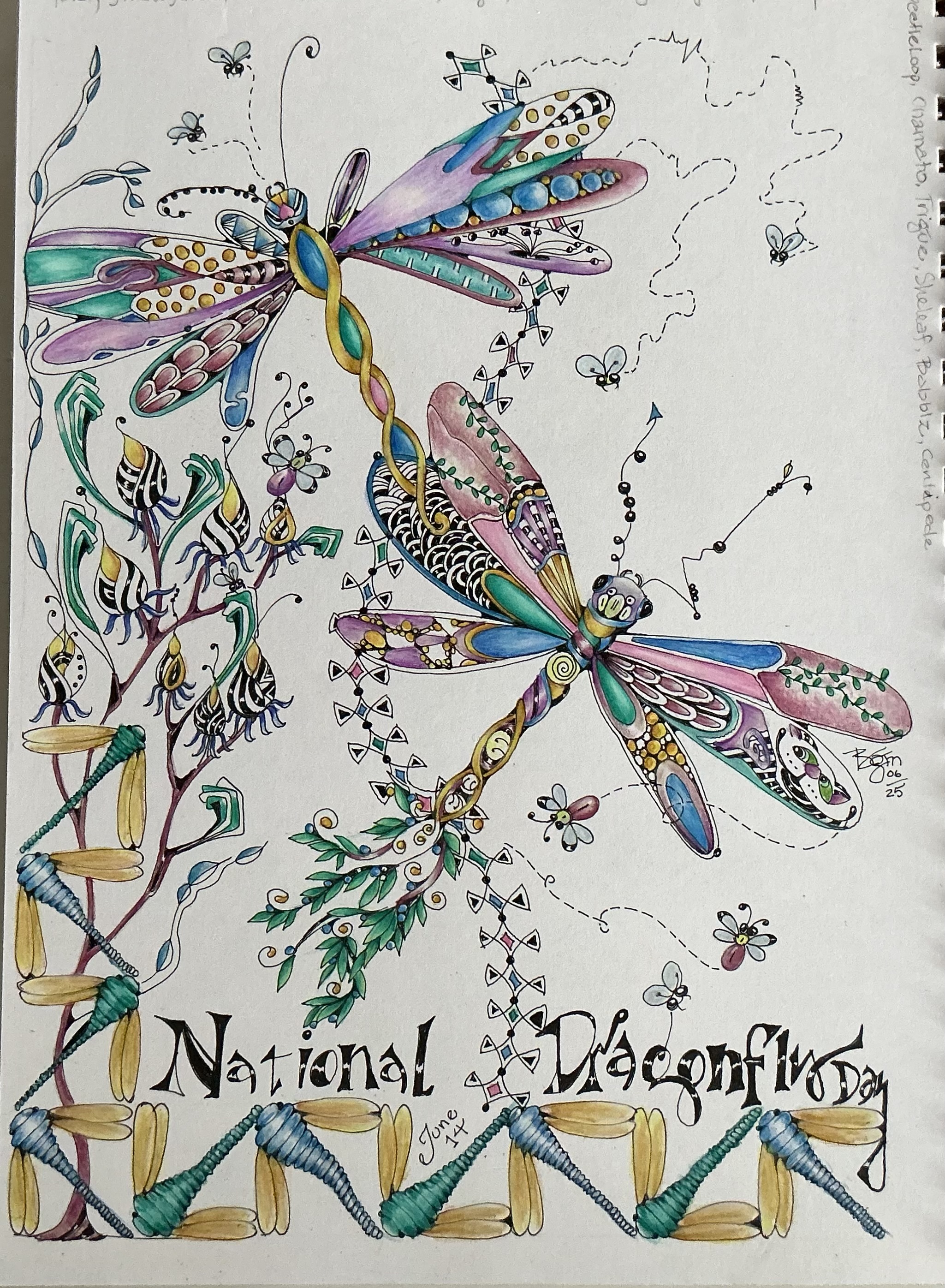 National Dragonfly Day – a curious nature